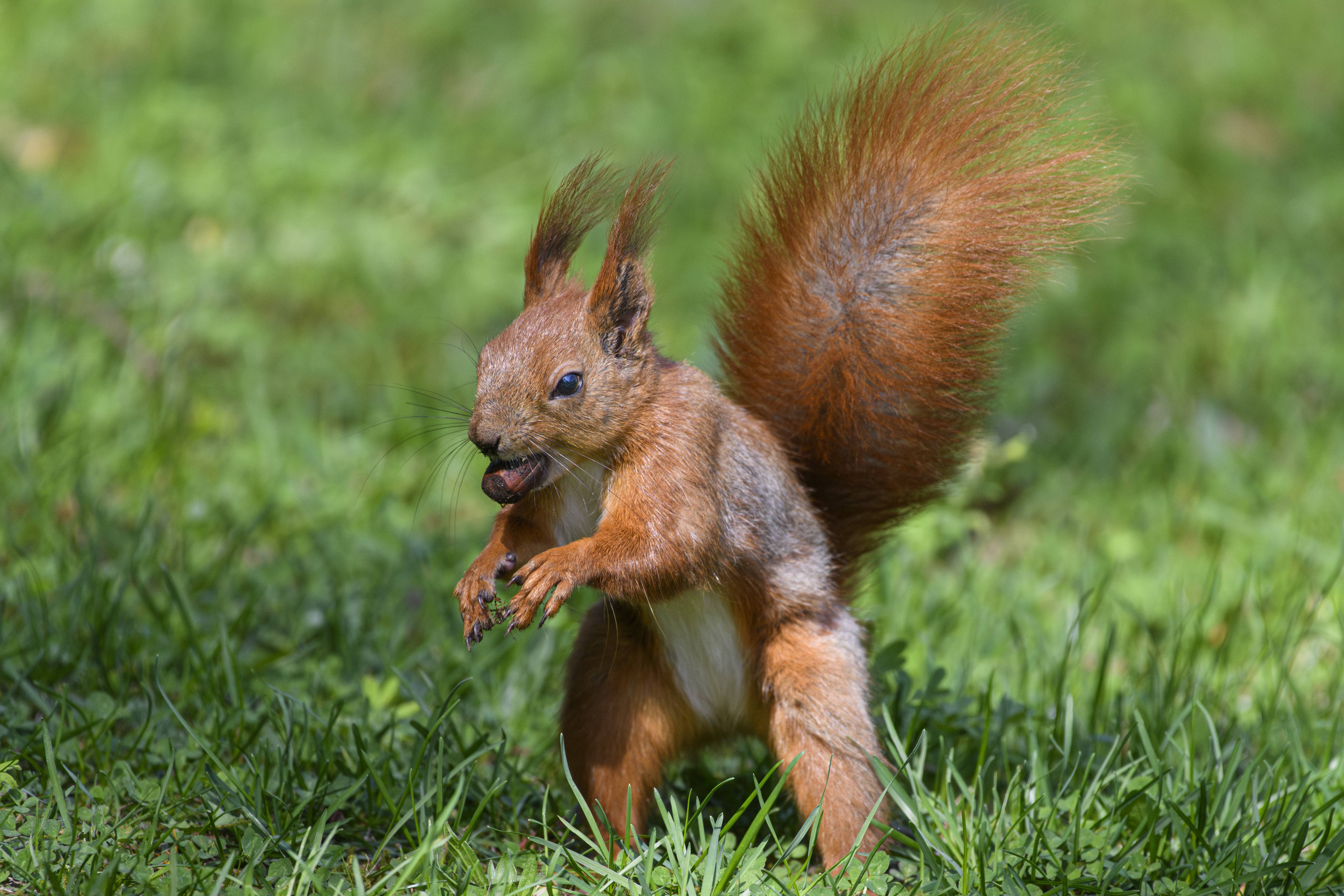Wildlife S24_5610
