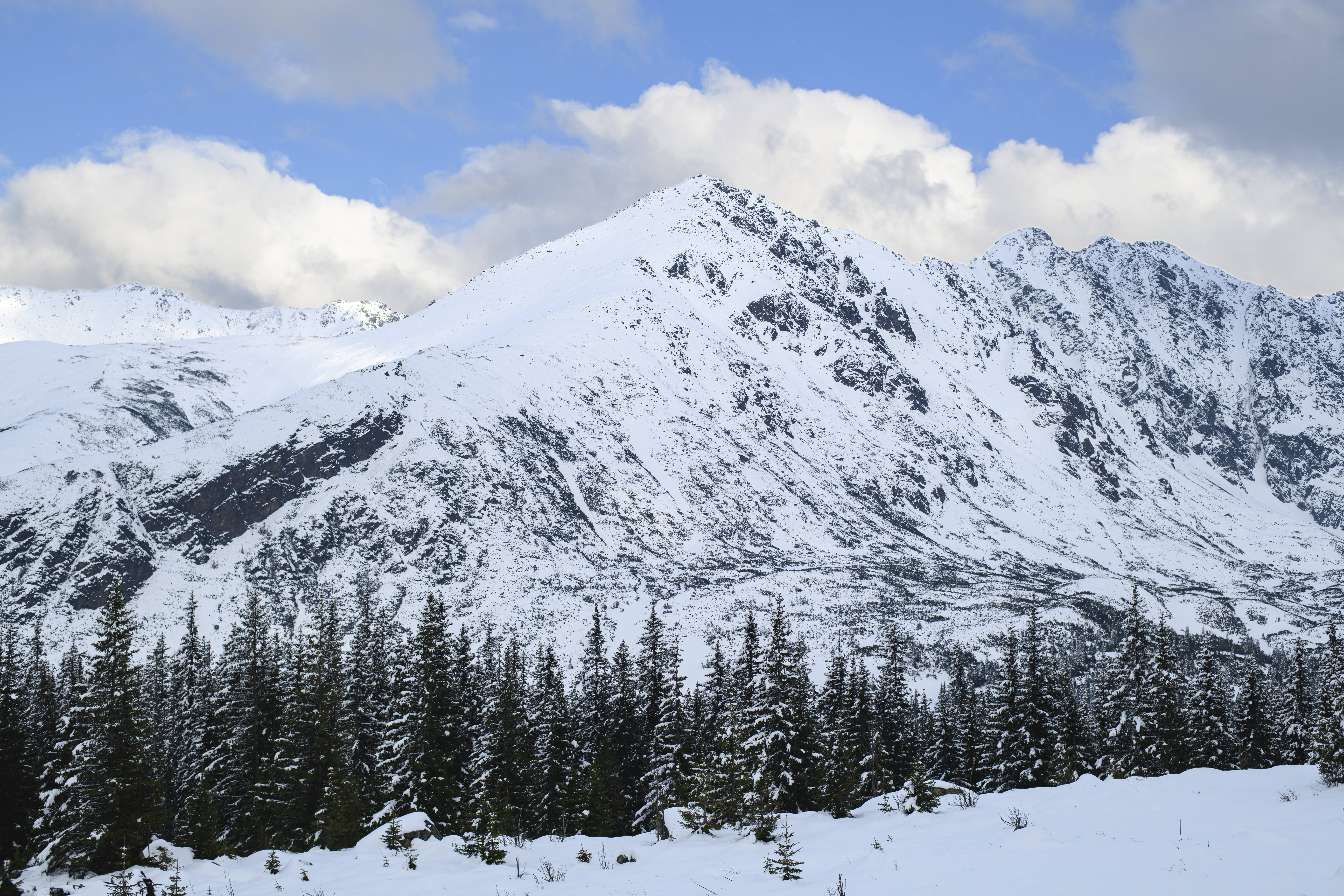 Landscape S24_6572