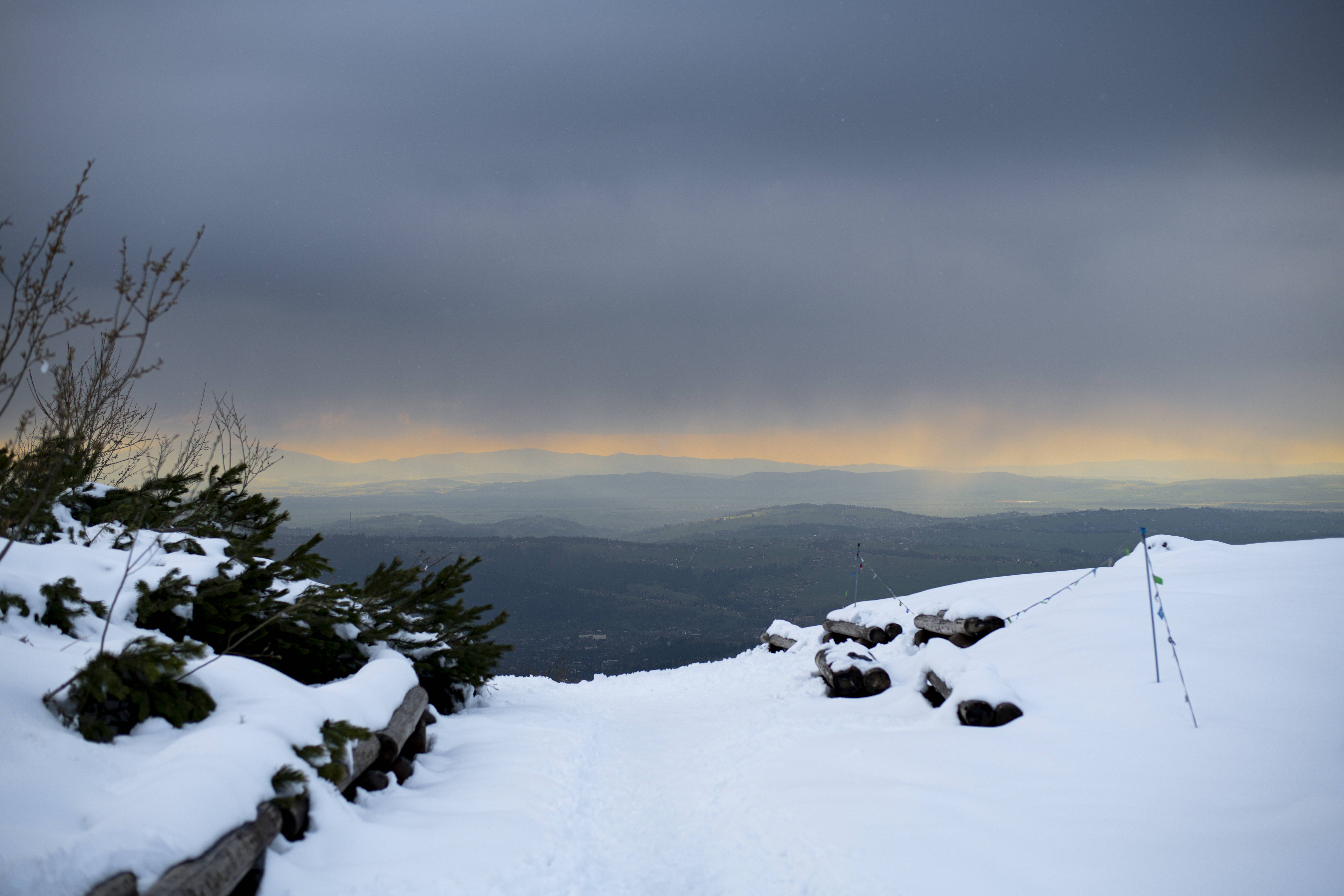 Landscape S24_6588