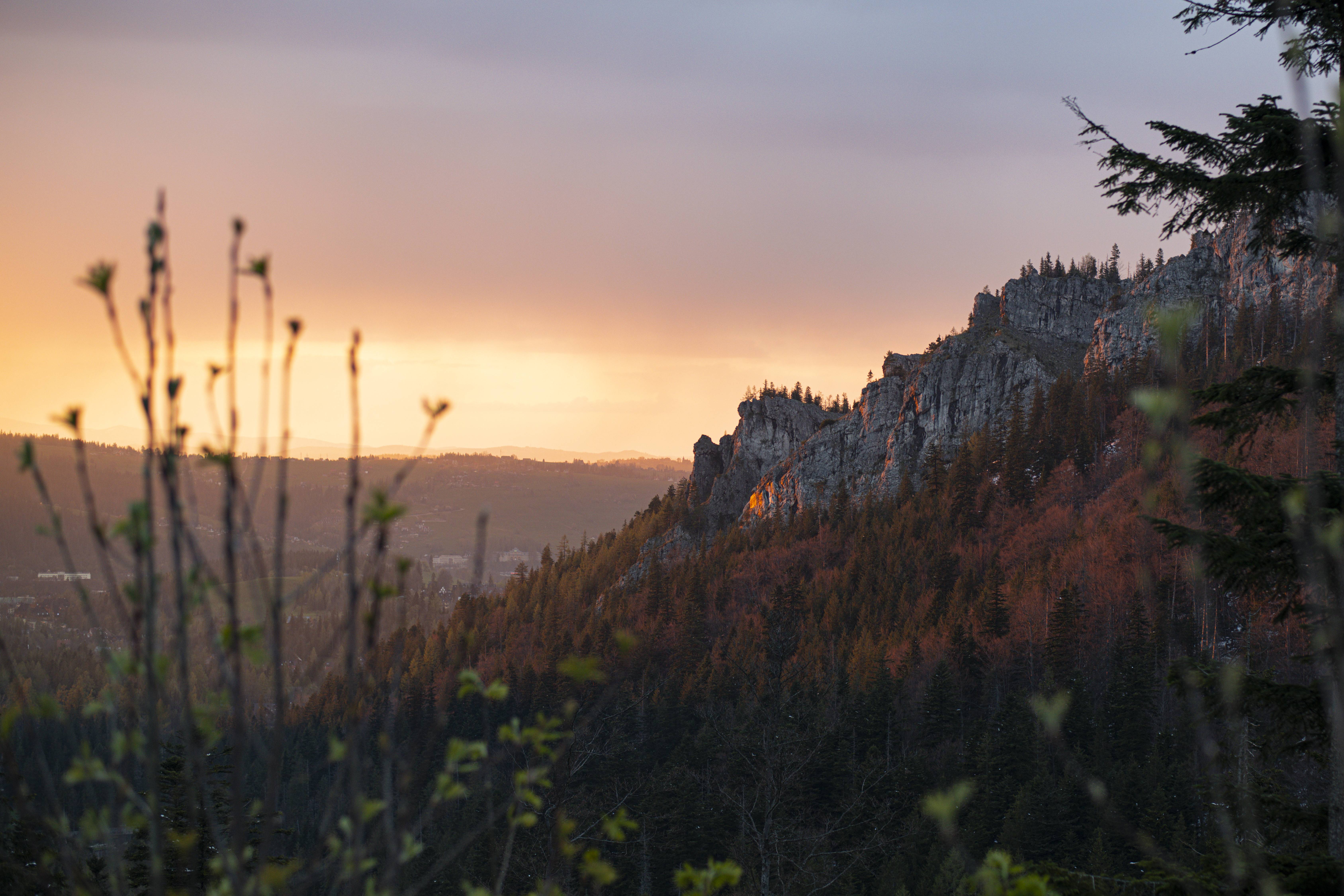 Landscape S24_6613