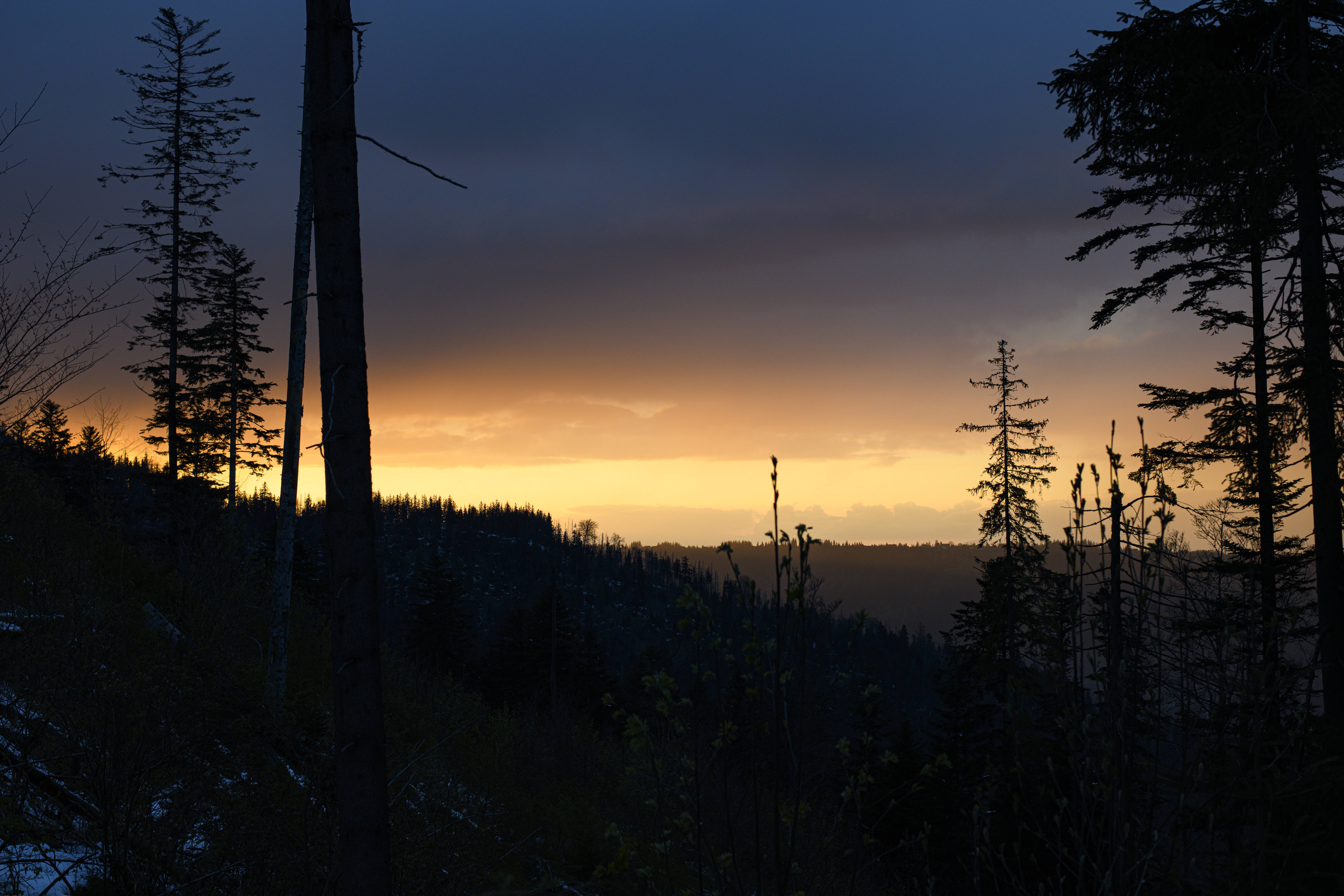 Landscape S24_6617